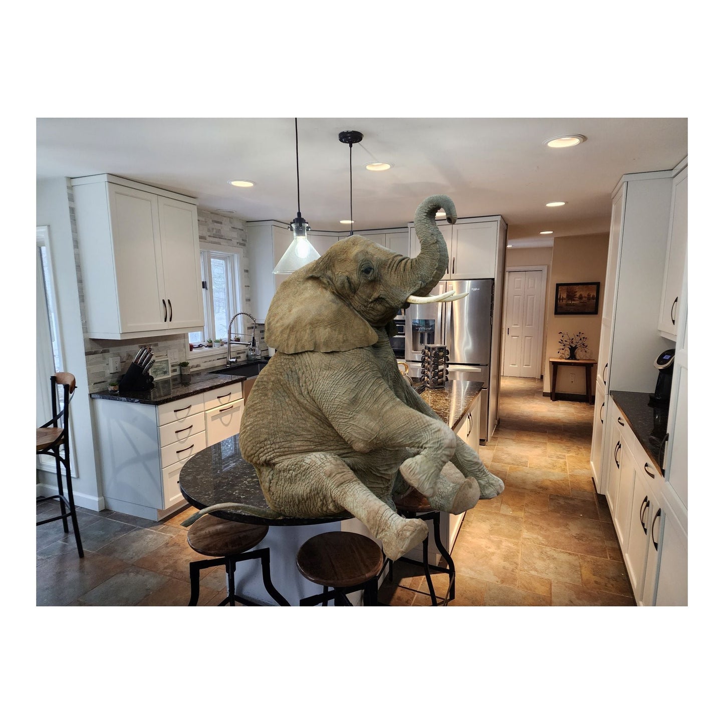 CarbonBar Countertop Rodding